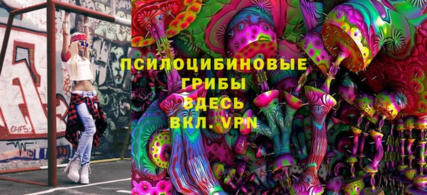 гидропоника Абаза