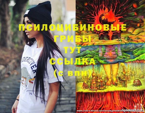 гидропоника Абаза
