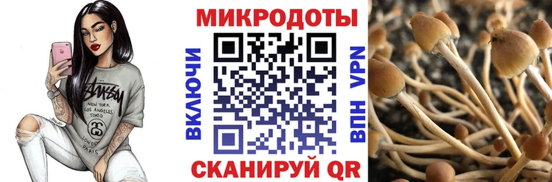 Галлюциногенные грибы мухоморы  хочу   Усть-Кут 